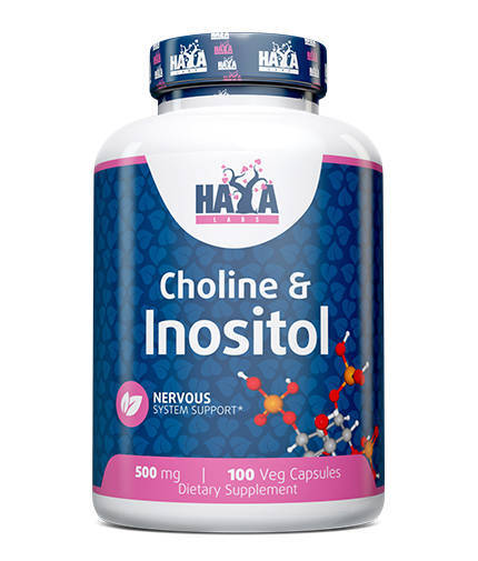 Haya Choline and Insositol 500 mg 100 caps